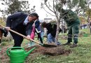 Millet Bahçesi’ne 30 fıstık çamı dikildi